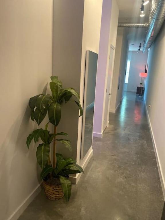 Apartment Smart 1 Bed 1 Bath Loft By Lorraine Memphis
